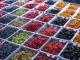 Jean-talon Market, Montreal